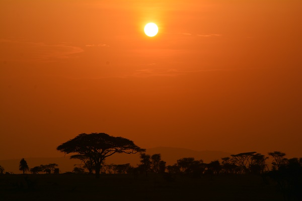 Sunset in Serengeti Tanzania
