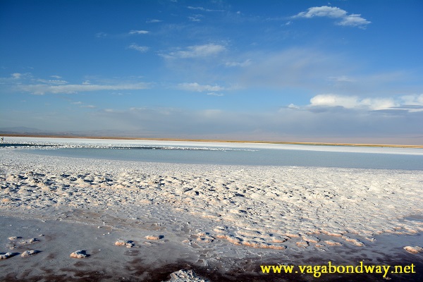 Laguna Cejar, San Pedro de Atacama Chile