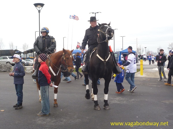 police horses