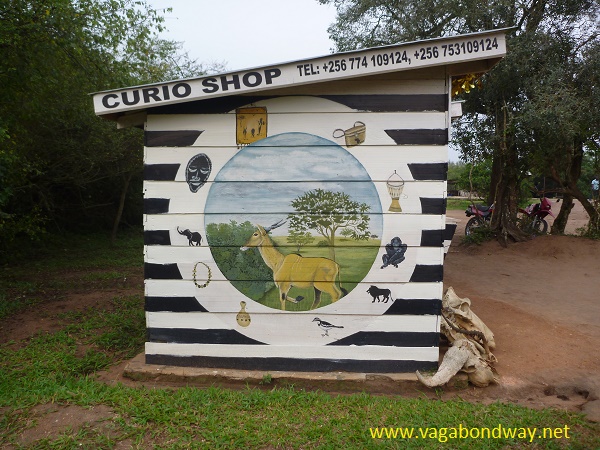 curio shop
