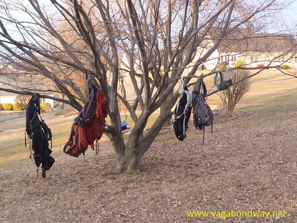our bags hanging in trees