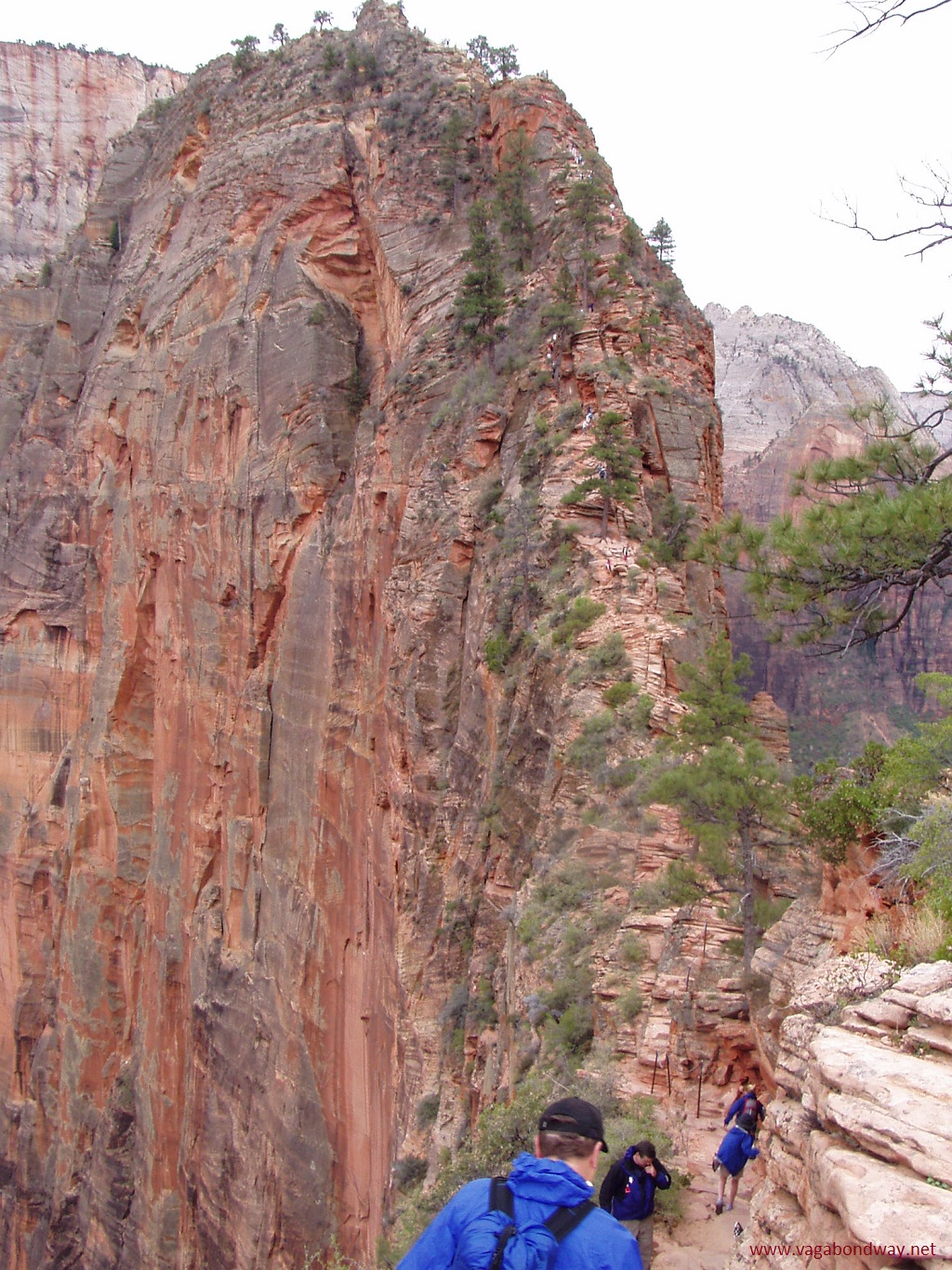 Hiking Angels Landing in Zion National Park