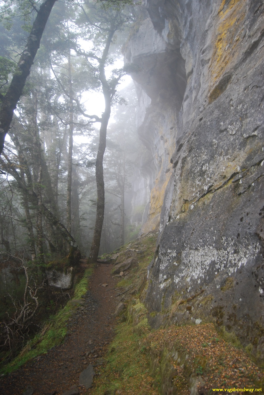 hike by misty rock