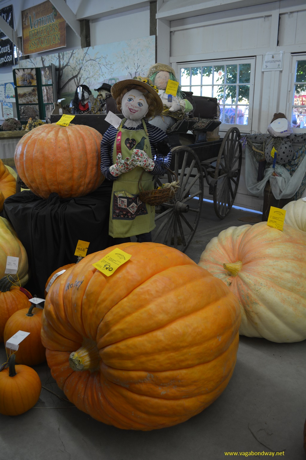 Giant pumpkin Tunbridge Fair