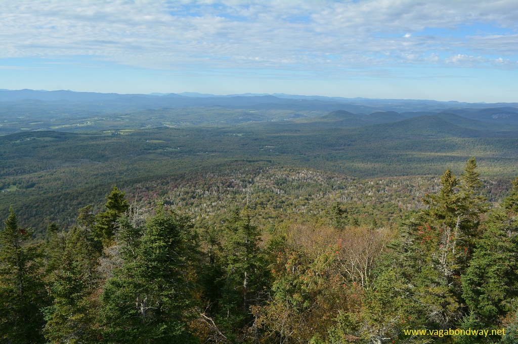 Groton Forest VT