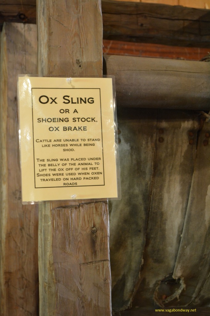 Ox sling close up