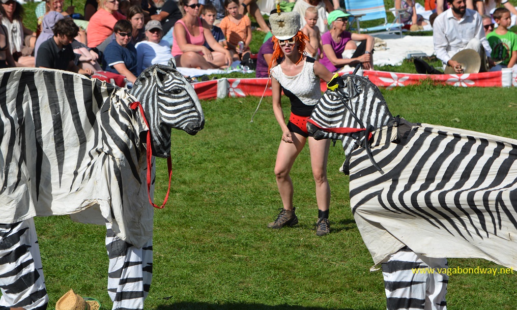zebras at bread and puppet