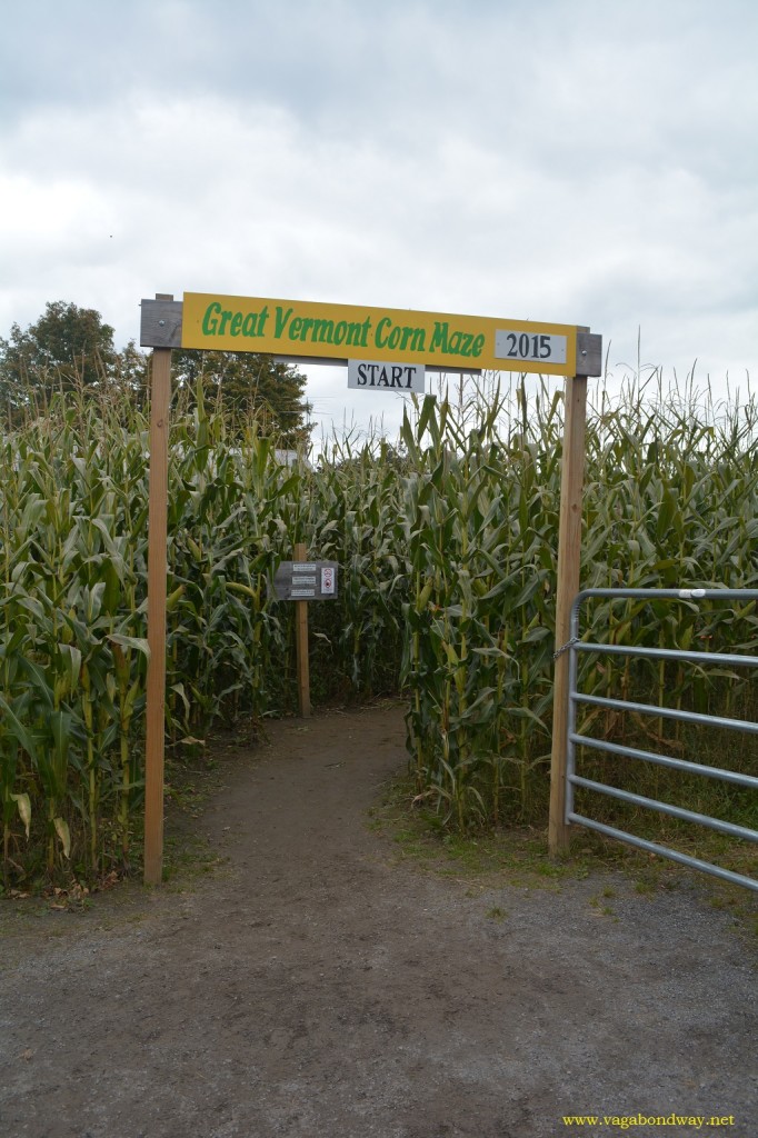 corn maze entrance