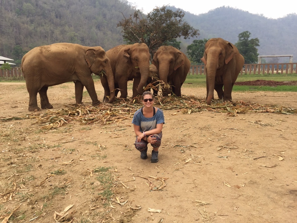 Elephant nature park- Thailand