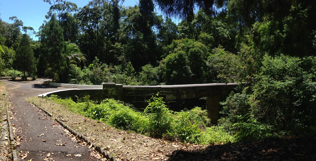 penang hikes-aqueduct-3