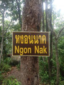 Great Free Krabi Hikes in Beautiful Southern Thailand - Vagabond Way