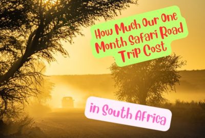 How Much Our One Month Safari Road Trip Cost in South Africa Vagabond Way